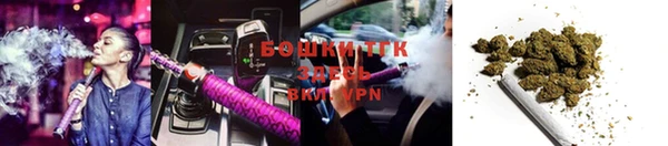 PSILOCYBIN Армянск