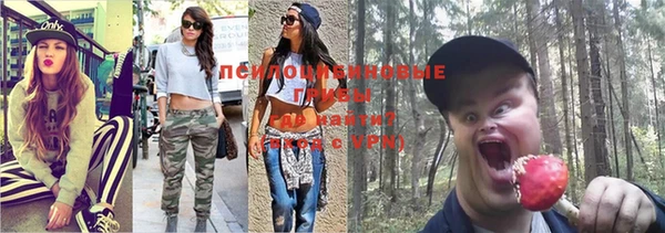 крисы Балабаново