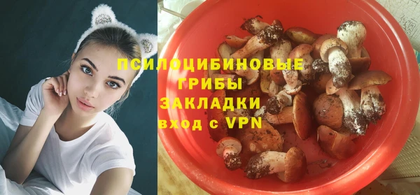 Альфа ПВП Арсеньев