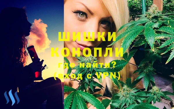 амф Новозыбков