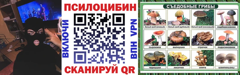 кракен ONION  Сасово  Галлюциногенные грибы Cubensis 